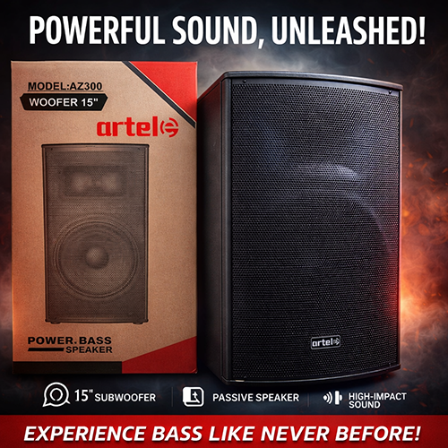 Artel  AZ300 Outdoor Subwoofer Speaker with Bluetooth,FM Radio,Free Wireless Microphone Woofer