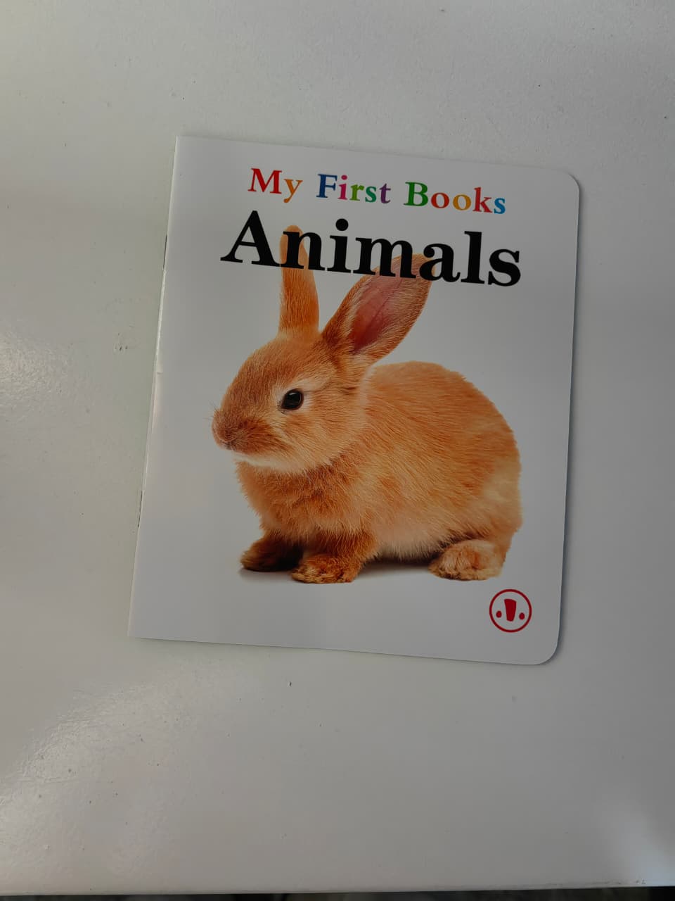 MY FIRST BOOKS-SET 10 BABY BOOKSMY FIRST LIBRARY: BOXSET OF 10 BOOKS FOR FIRST WORDS, ALPHABET, NUMBERS, AND MORE! BABY BOOKS