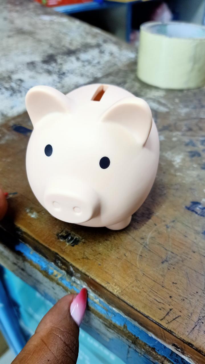 PIGGY BANK, UNBREAKABLE PLASTIC MONEY BANK, COIN BANK FOR GIRLS AND BOYS, SMALL SIZE PIGGY BANKS, PRACTICAL GIFTS FOR BIRTHDAY, EASTER, CHRISTMAS