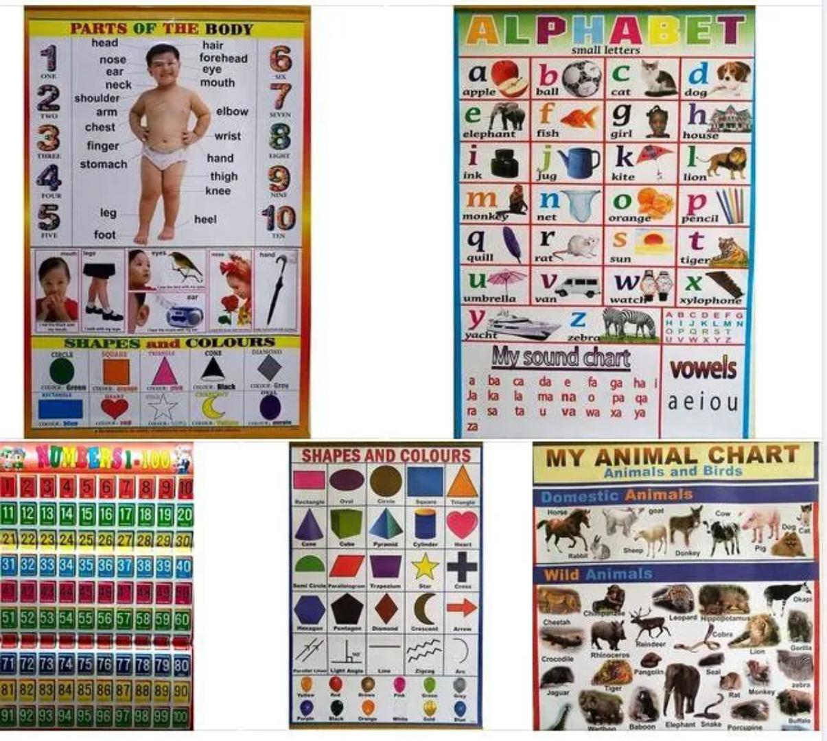 CBC Educational Charts – Interactive Learning for Young Learners