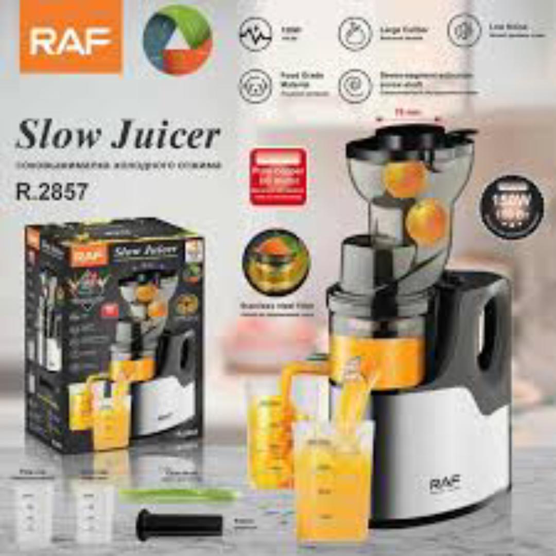 RAF Multifunction 4 in 1 Food processor Vegetable Slow Fruit Commercial Juicer Blender Grinder Mincer