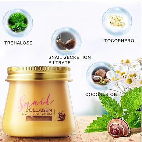 Snail Collagen Face Cream Snail Hydrating Anti-Wrinkle and Rejuvenating Cream, Hydrating Nourishing Cream for Fine Lines Wrinkles & Intense Hydration, Skin Renewal best gift for Women