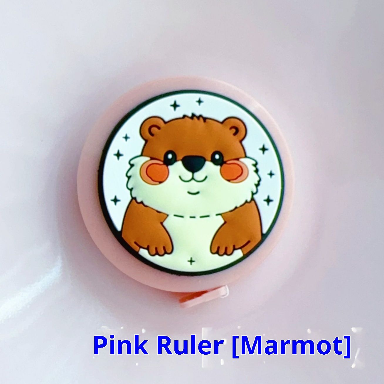 2 Pcs Body Measurement Tape for Women Weight Loss Fitness Waist Hip Measure Clothing Ruler Retractable Tape Double-Sided Portable Sewing Tailor