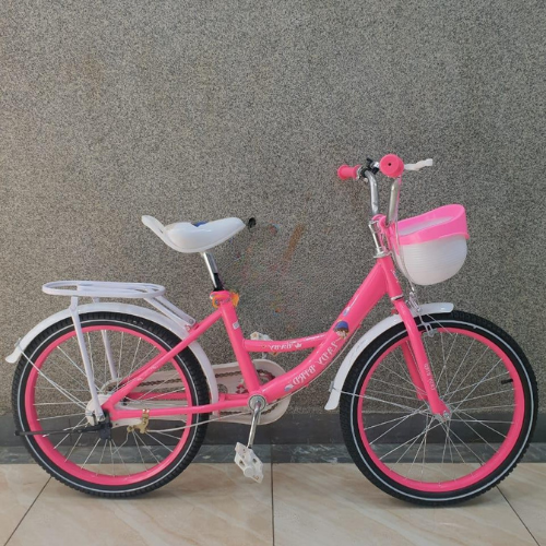 Lady Bird 20″ Kids Bicycle Steel & Magnesium Frame, Front Basket & Reflector, Adjustable Seat & Handlebars, Handbrakes, Training Wheels  Ideal for 7–12 Yr Girls.