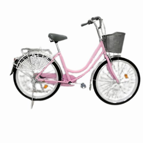 Lady Bird 26-Inch Classic Cruiser Bicycle – Elegant Step-Through Frame, Dual Carrier Racks, Mudguards, Durable Design for Women & Girls