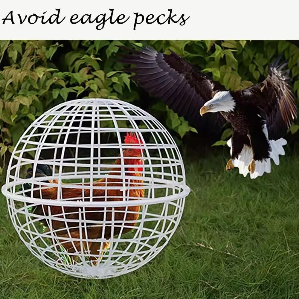 2 Pieces Spherical Chicken Cages for Outside Movable Chicken Cage Small Animal Outdoor Pens Hutches for Farm Exercise Keeping