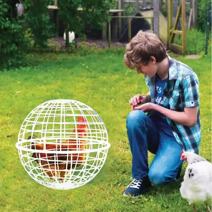2 Pieces Spherical Chicken Cages for Outside Movable Chicken Cage Small Animal Outdoor Pens Hutches for Farm Exercise Keeping