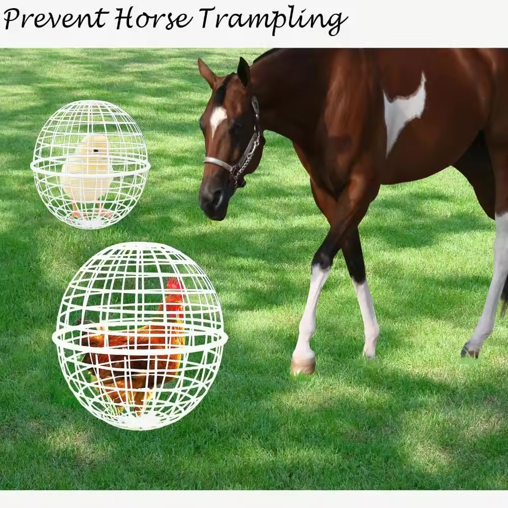 2 Pieces Spherical Chicken Cages for Outside Movable Chicken Cage Small Animal Outdoor Pens Hutches for Farm Exercise Keeping