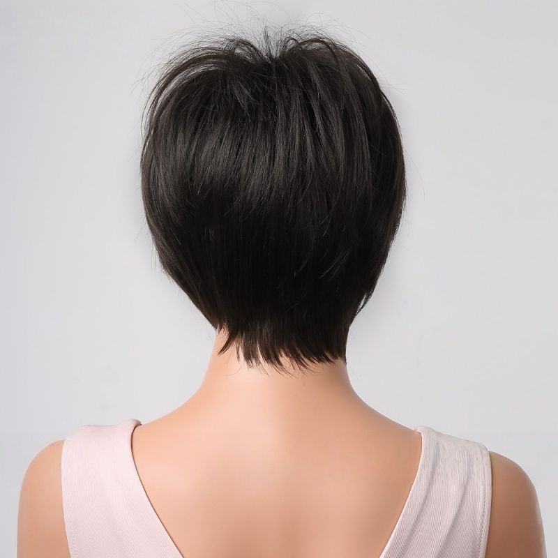 FBK Short Wigs for Ladies 9 Inches Fashion and Elegant Straight Hair Heat-Resistant Synthetic Fiber Wig Black for Daily Wear and Party Event Suitable for Women Gift