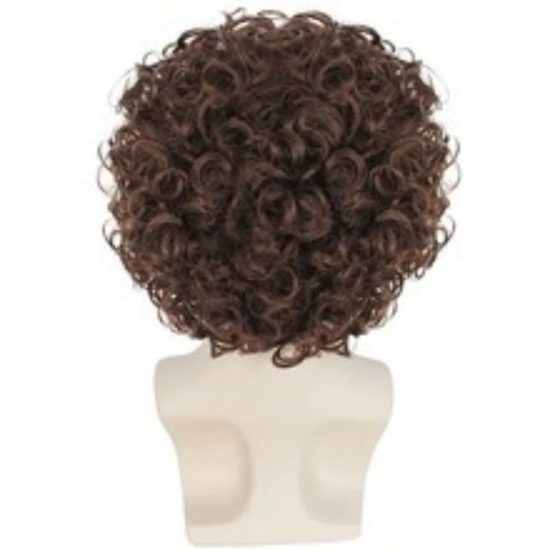 Fluffy Afro Curly Wig Heat Resistant Synthetic Hair Black Big Volume Glueless Capless Breathable Cap for African Women Daily Party Music Festival Carnival Gift Easy Wear