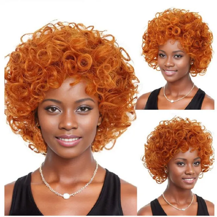 Fluffy Afro Curly Wig Heat Resistant Synthetic Hair Black Big Volume Glueless Capless Breathable Cap for African Women Daily Party Music Festival Carnival Gift Easy Wear
