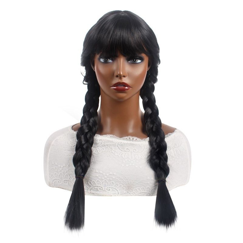Thick Double Cornrow Braided Wig Natural Black Long Two Chunky Braids Heat Resistant Synthetic Hair for Women Daily Party Music Festival Carnival Halloween African Style Gift Easy to Wear