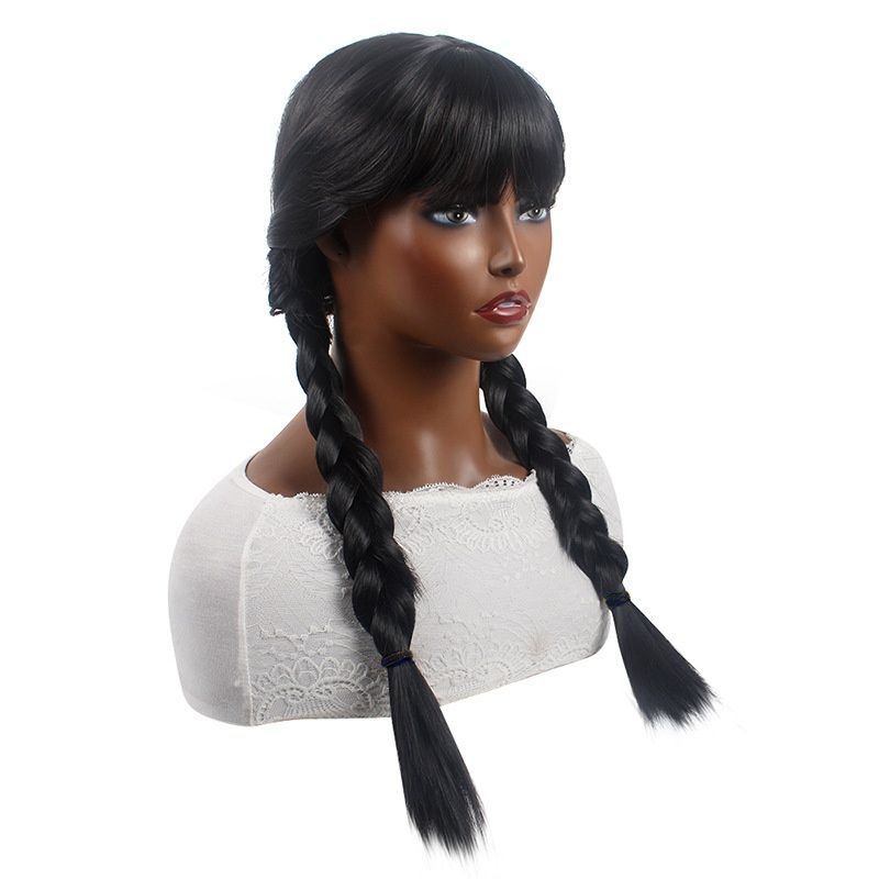 Thick Double Cornrow Braided Wig Natural Black Long Two Chunky Braids Heat Resistant Synthetic Hair for Women Daily Party Music Festival Carnival Halloween African Style Gift Easy to Wear