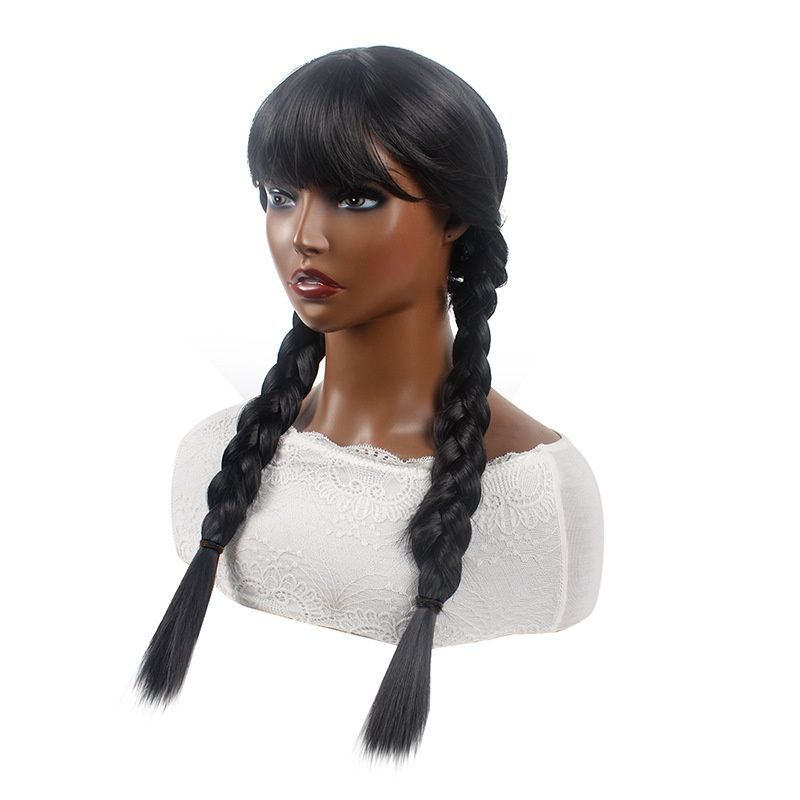 Thick Double Cornrow Braided Wig Natural Black Long Two Chunky Braids Heat Resistant Synthetic Hair for Women Daily Party Music Festival Carnival Halloween African Style Gift Easy to Wear