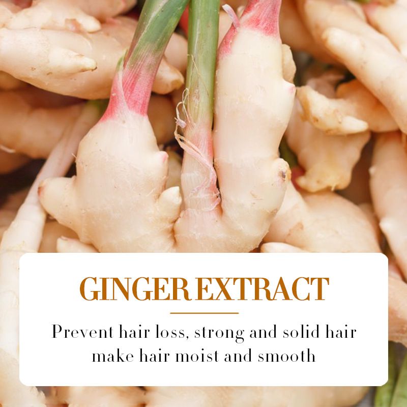 【Clearance Sale】SADOER Ginger Hair Treatment Oil, Hair Repair and Growth Serum for Dry, Damaged & Coarse Hair, Hair Essential Oil for All Hair Types
