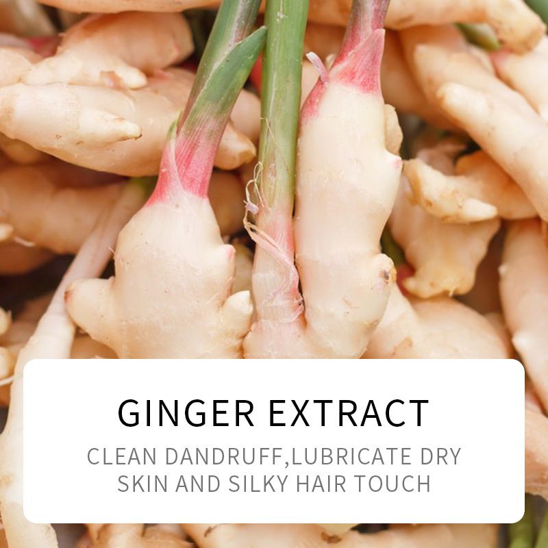 SADOER 500ML Ginger Shampoo for Hair,Nourishing Moisturizing Repair Make Smooth Glossy Best Hair Care Treatment Organic Ginger Hair Conditioner