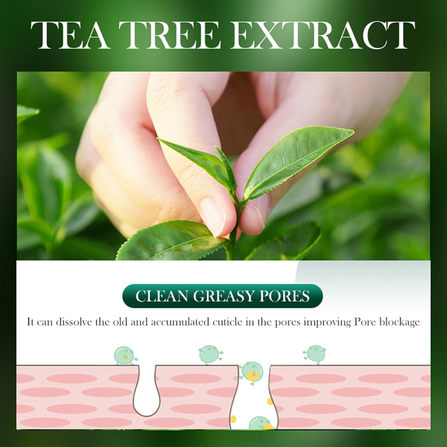 【Clearance Sale】SADOER Tea Tree Facial Cleanser Whitening Deep Cleansing Oil Control Moisturizing Face Wash Hot Selling Mild 100g