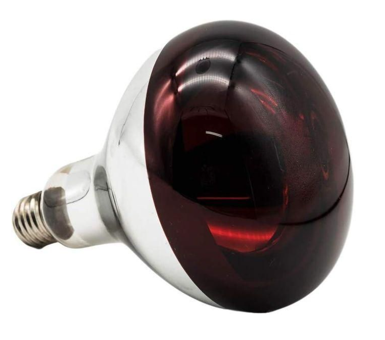 Lighting Red Infrared chicken bulb, Heat Lamp for Chickens Coop Brooder and Reptile Heat Bulb 220 Volts Infrared Red Light