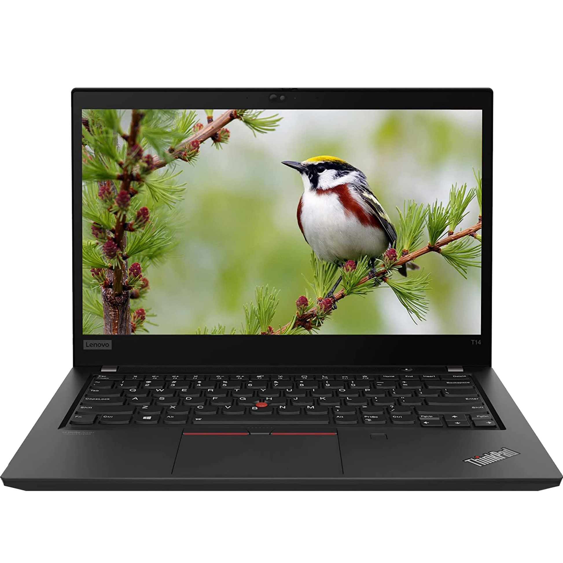 Lenovo ThinkPad T14 (10th Gen Core i5, 16 GB RAM, 256 GB SSD) – Robust Business Ultrabook with Enhanced Productivity