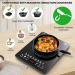 Portable Induction Cooktop, Countertop Burner with Multi-Function, 2200w Electric Stove