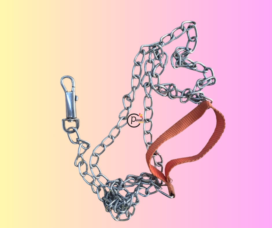 dog chain or leash. It is a type of leash used for walking or tying out a dog. 
Description: The item consists of a metal chain with a clip on one end to attach to a dog's collar and a fabric handle o