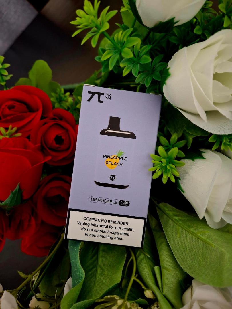 6000 Puffs Vape Kit Rechargeable Vape Pen uses Type C Charger