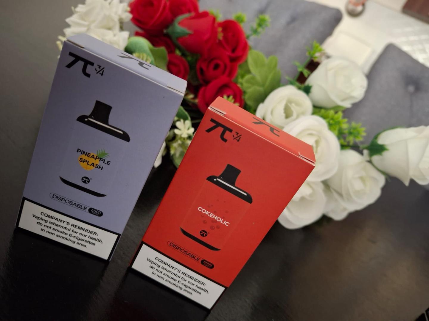 6000 Puffs Vape Kit Rechargeable Vape Pen uses Type C Charger