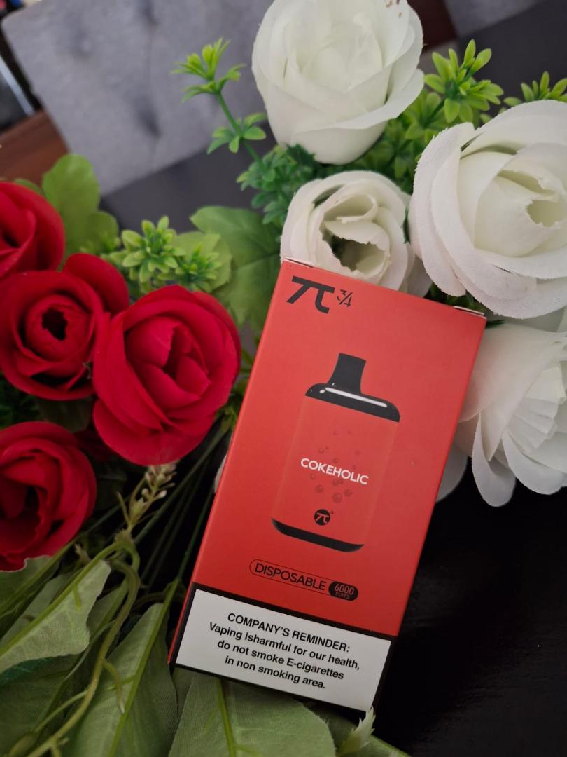 6000 Puffs Vape Kit Rechargeable Vape Pen uses Type C Charger