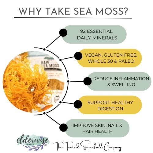 Sea Moss Capsules - Improved Immunity, Fight Inflammation, Improve Gut Health, Increased Energy