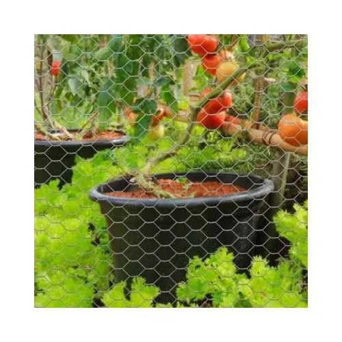 Heavy-Duty Chicken Wire Mesh – Built to Last! Protect your farm, garden, or DIY projects with confidence! This 3ft x 30m galvanized roll comes in ½", ¾", or 1" mesh