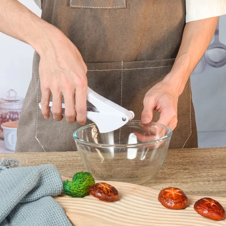 New manual garlic press, spot wholesale, kitchen tools, simple and easy to use garlic tamper  household garlic squeezer