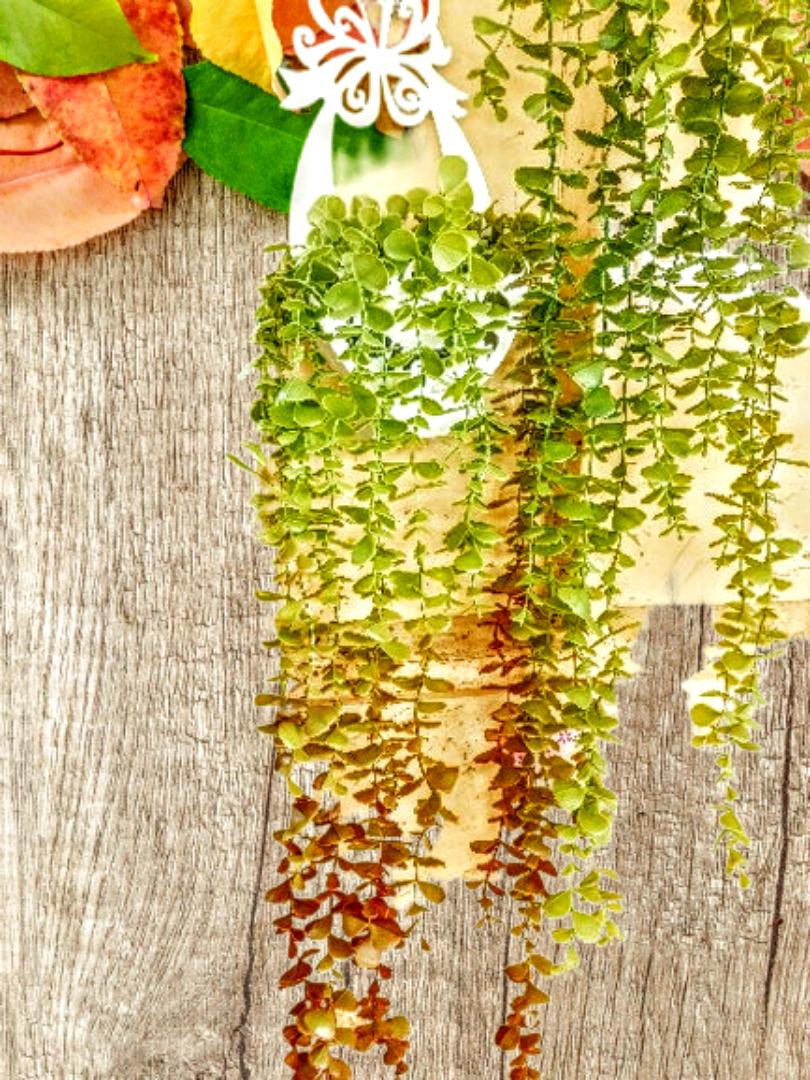 Hanging Vines with Holder Wall Hanging Vines
