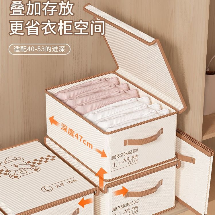 Closet Multipurpose Organizers or Storage Box