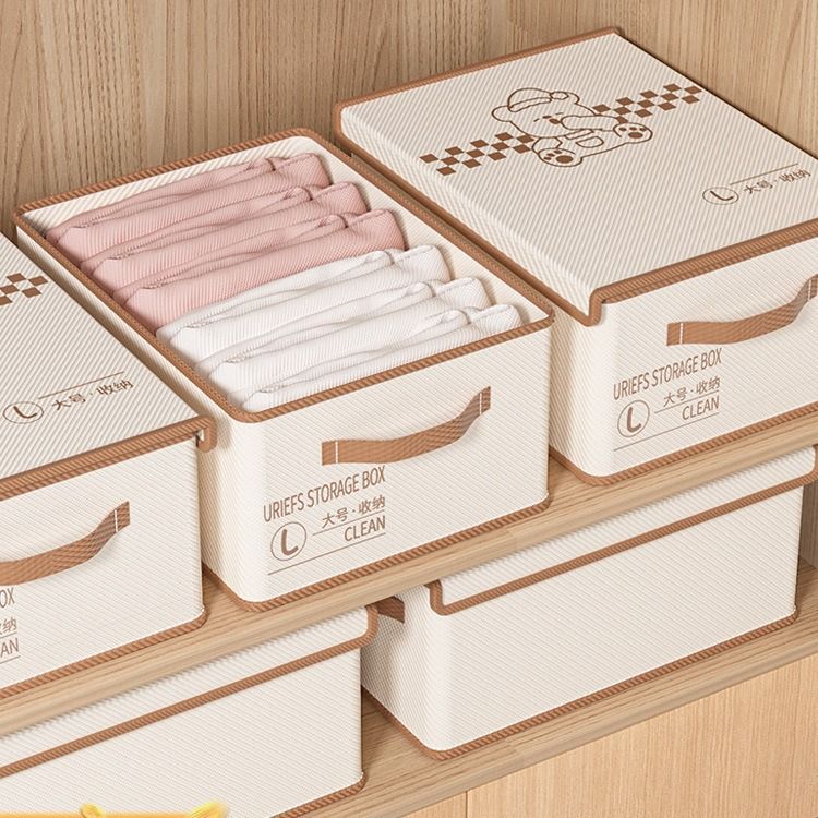 Closet Multipurpose Organizers or Storage Box