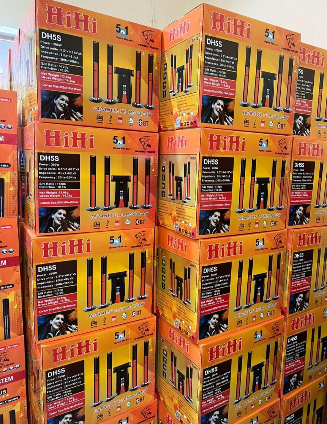 HiHi Seara Tiger 5.1 Channel Model 5505 Home Theater Speaker System – Powerful Surround Sound with Deep Bass Subwoofer, Bluetooth, USB, AUX & FM Support, Ideal for TV, Movies, Music & Parties