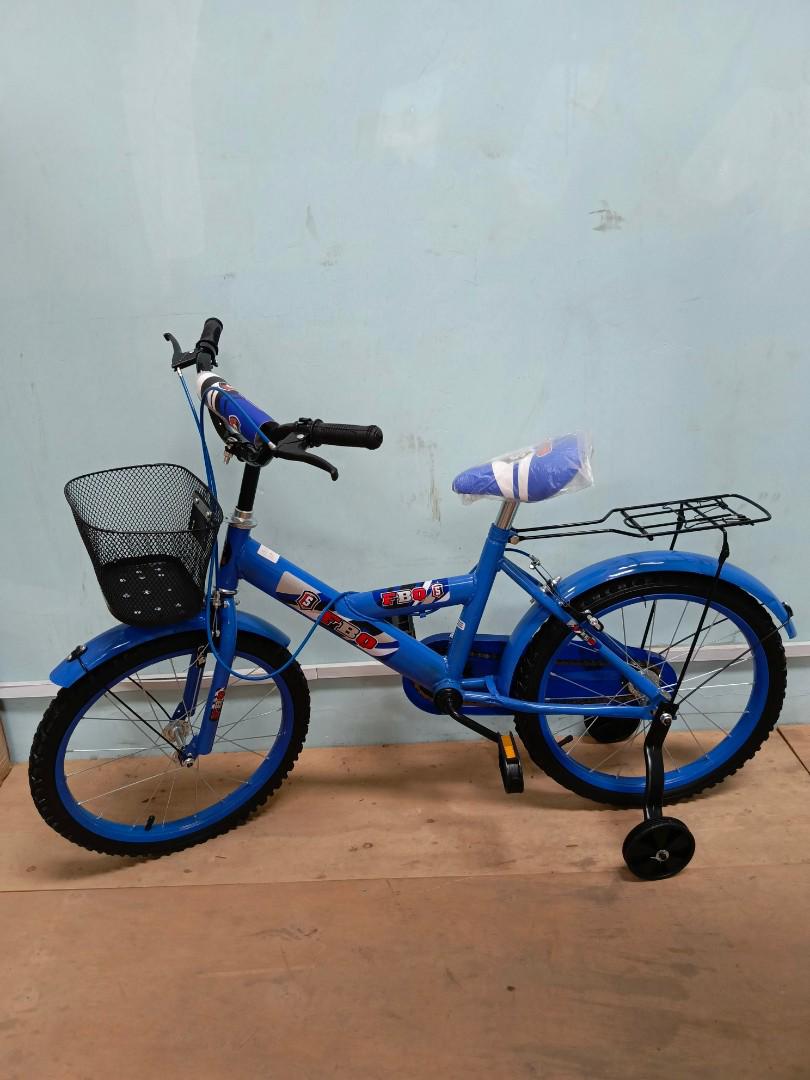 Shengdi Kids' Training Bicycle – Durable 12-Inch First Bike with Training Wheels