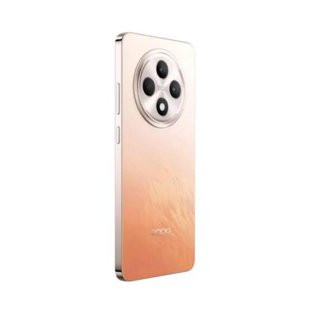 OPPO Reno12 F 5G 12GB RAM+256GB ROM 6.7" 120Hz 3D AMOLED 50MP 80W 5000mAh Android 14 Dual SIM Fingerprint RENO 12F Smart Phones