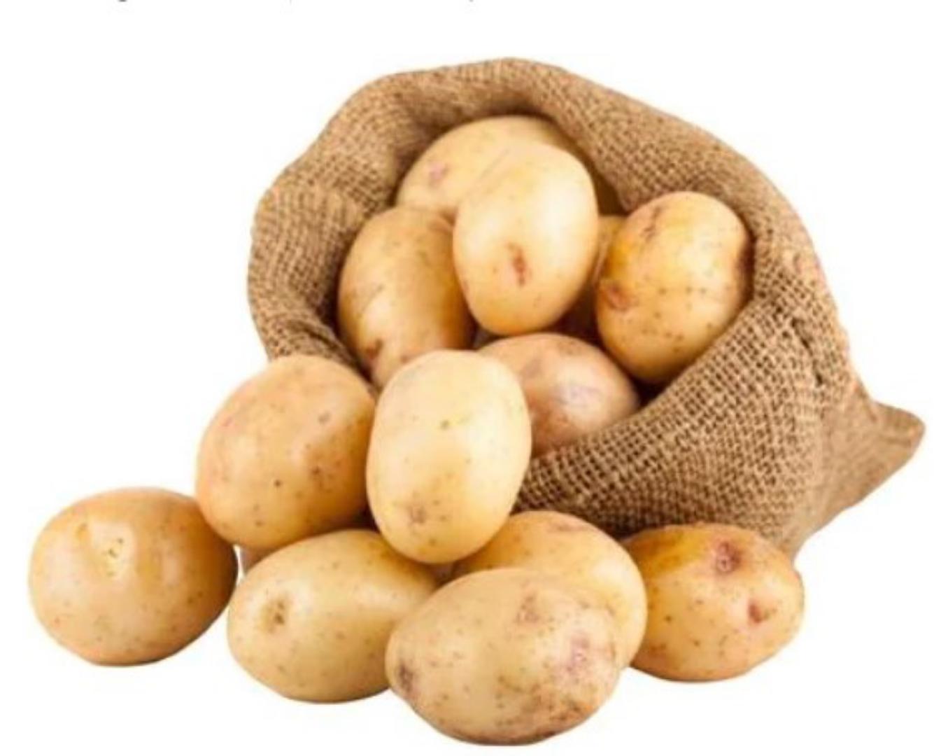 Table potatoes ( Shangi variety)