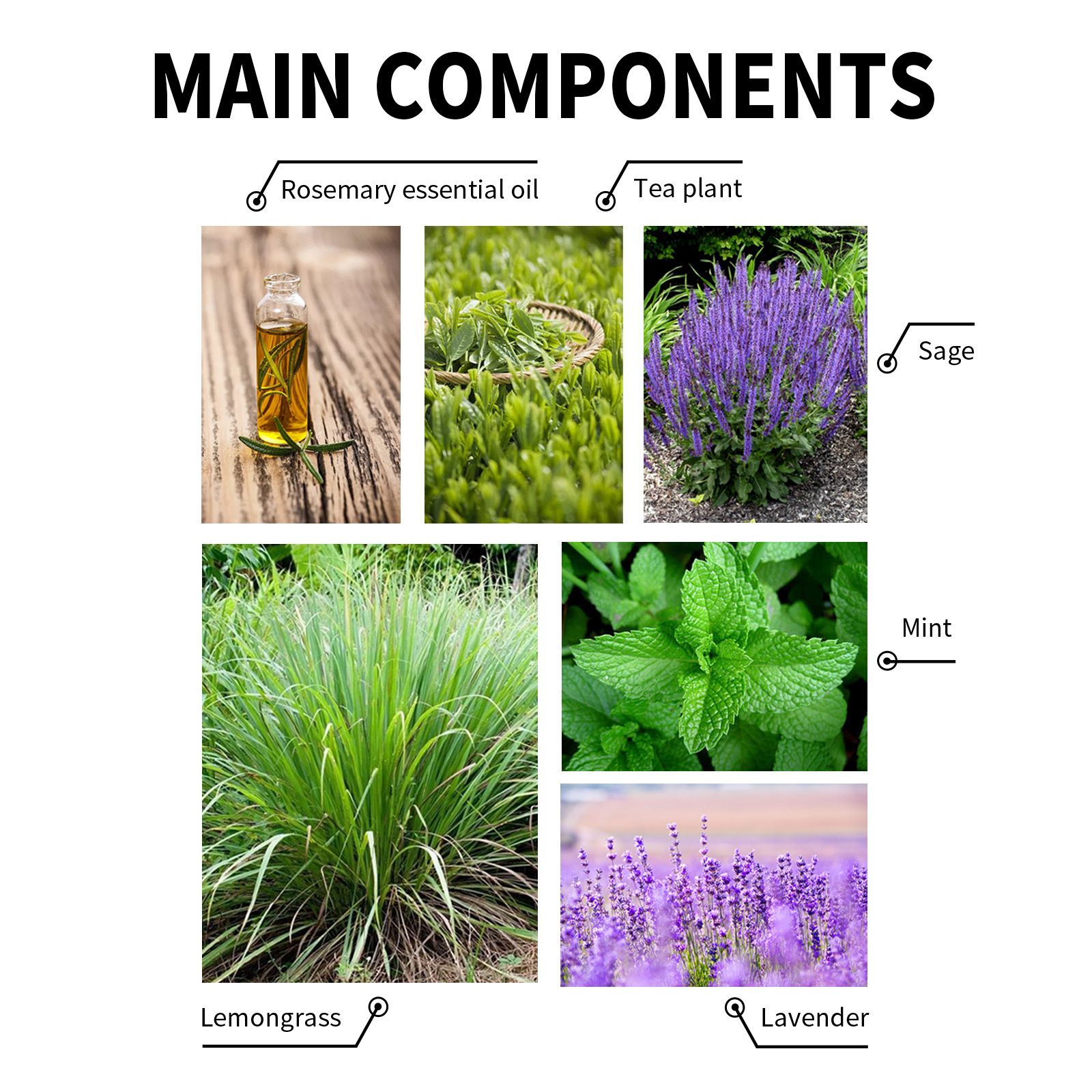 Organic Rosemary Hair Growth Serum Scalp & Hair Strengthening Oil Infused With Biotin for All Hair Types Nourishing & Volumizing 60ml