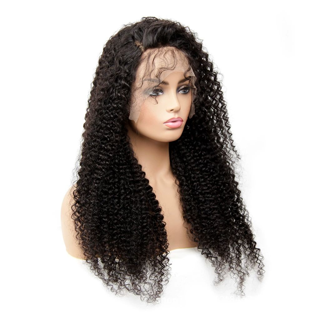 HD Lace Front Human Hair Wigs for Black Women Glueless Lace Front Wig 13x4 Kinky Curly Lace Front Wig Human Hair Pre Plucked Hairline Brazilian Hair Natural Color (26inch, Curly Wig)