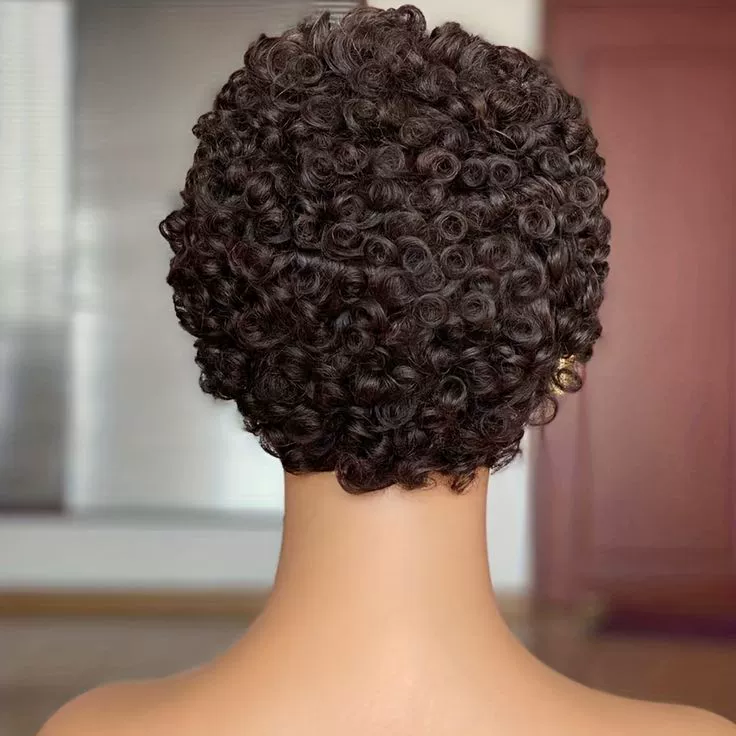 Glueless Wear and Go Wig Short Human Hair Wigs for Black Women Curly Wig with Bangs Brazilian Virgin Full Machine Made Wig Natural Black None Lace Frontal Wigs for Daily Use (Natural Black)