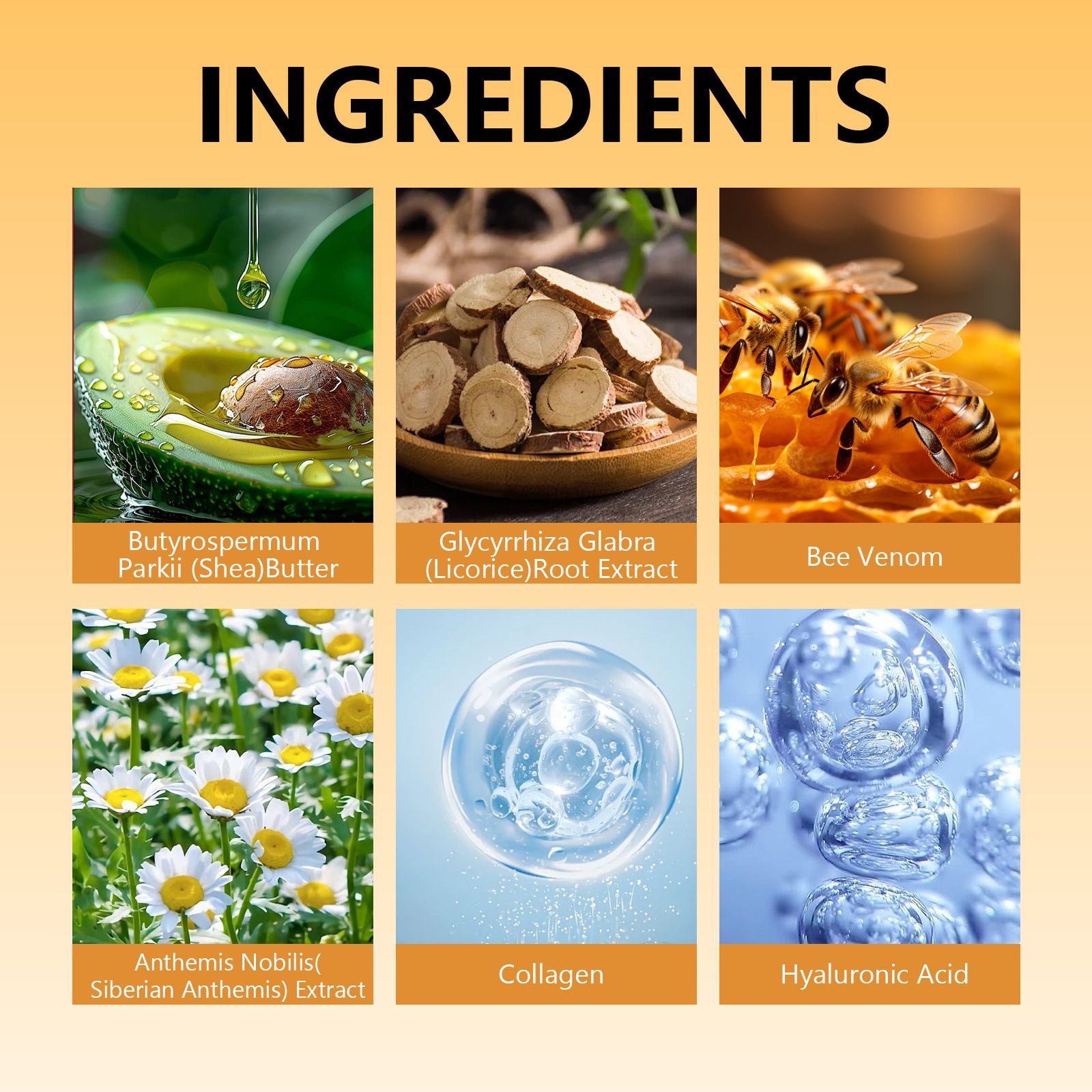 Bee Venom Sculpture Cream, Sculpt & Tone Arm Cream – Firming And Tightening For Arms & Body, Smooths The Look Of Wrinkles, Deeply Hydrates, Firms The Look Of Crepey Texture, Suitable for all skin