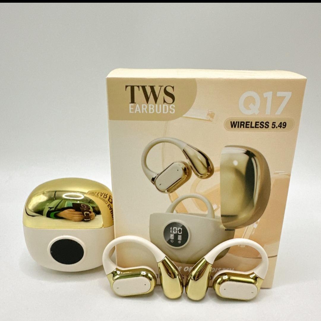 Q17 TWS Earbuds With LED Power Display Earhooks