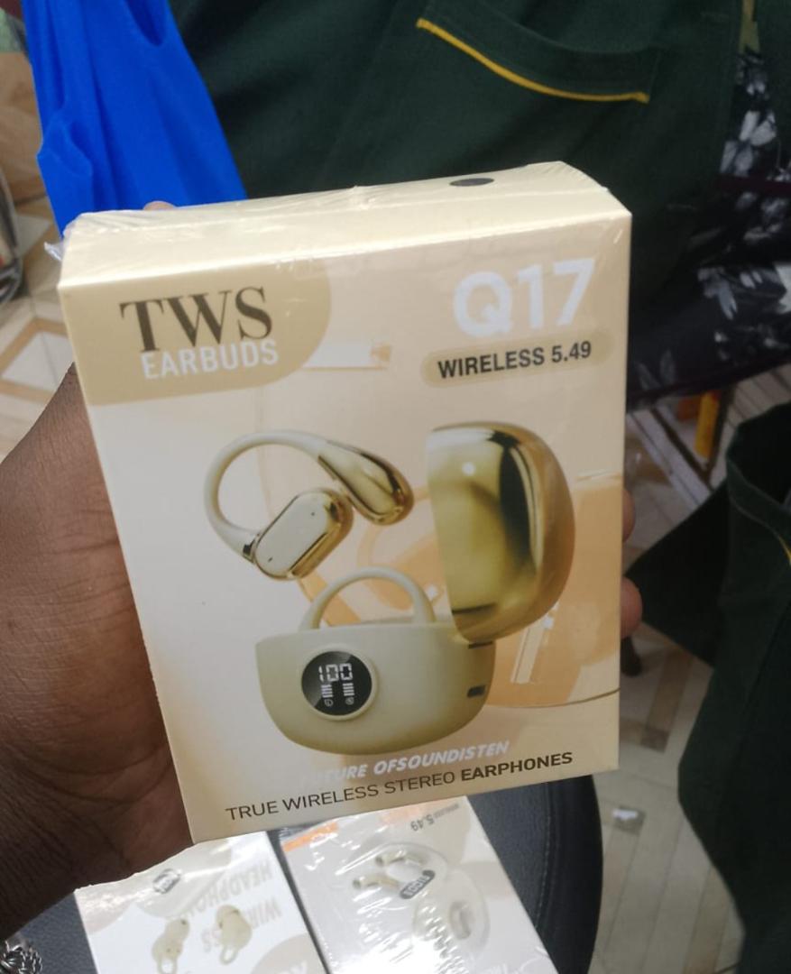 Q17 TWS Earbuds With LED Power Display Earhooks