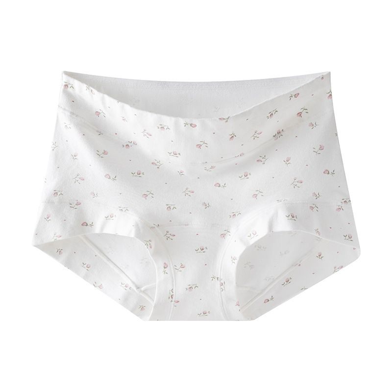 Breathable Women Underwear Lady Fashion Plus Size Panties Set Pack Boxer Briefs for Women Cotton Panties Woman Women's Lingerie