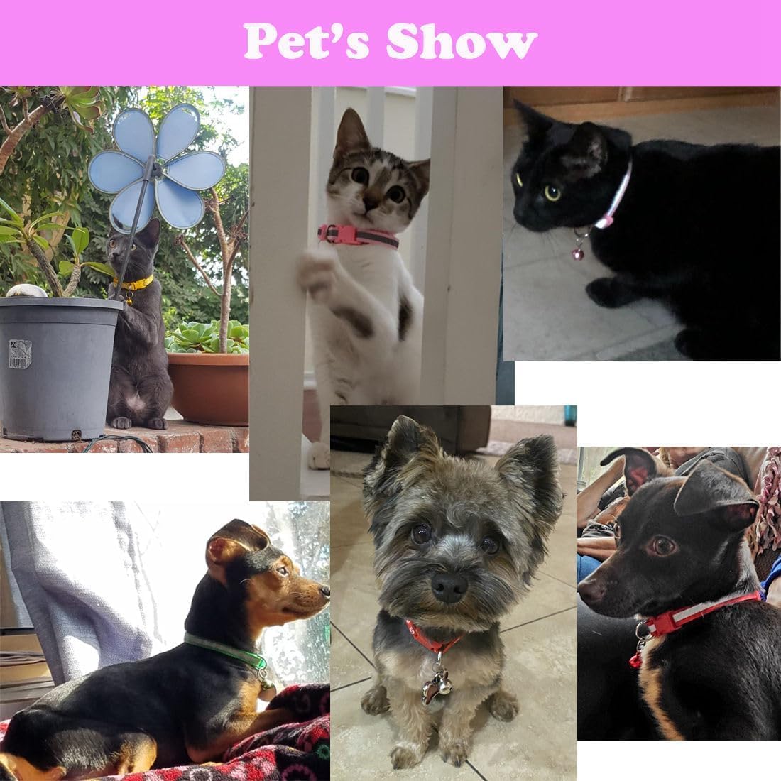【Promotion】Cat Collar with Bell, 2-Pack Basic & Reflective XS Dog Cat Collar with Bells for XXS Xs Small Pet Dogs Boy Tiny Kitten Girls Animal,Neck 7-12 Inch