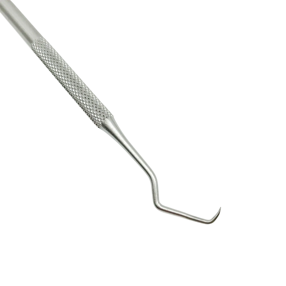 Stainless Steel Dental Tools Dental Oral Endoscope Probe Tooth Pick for Cavities Dental Stain & Plaque Remover Tartar Removal Tool Dental Cleaning Instrument Stainless Steel Dental Care Probe Dentist