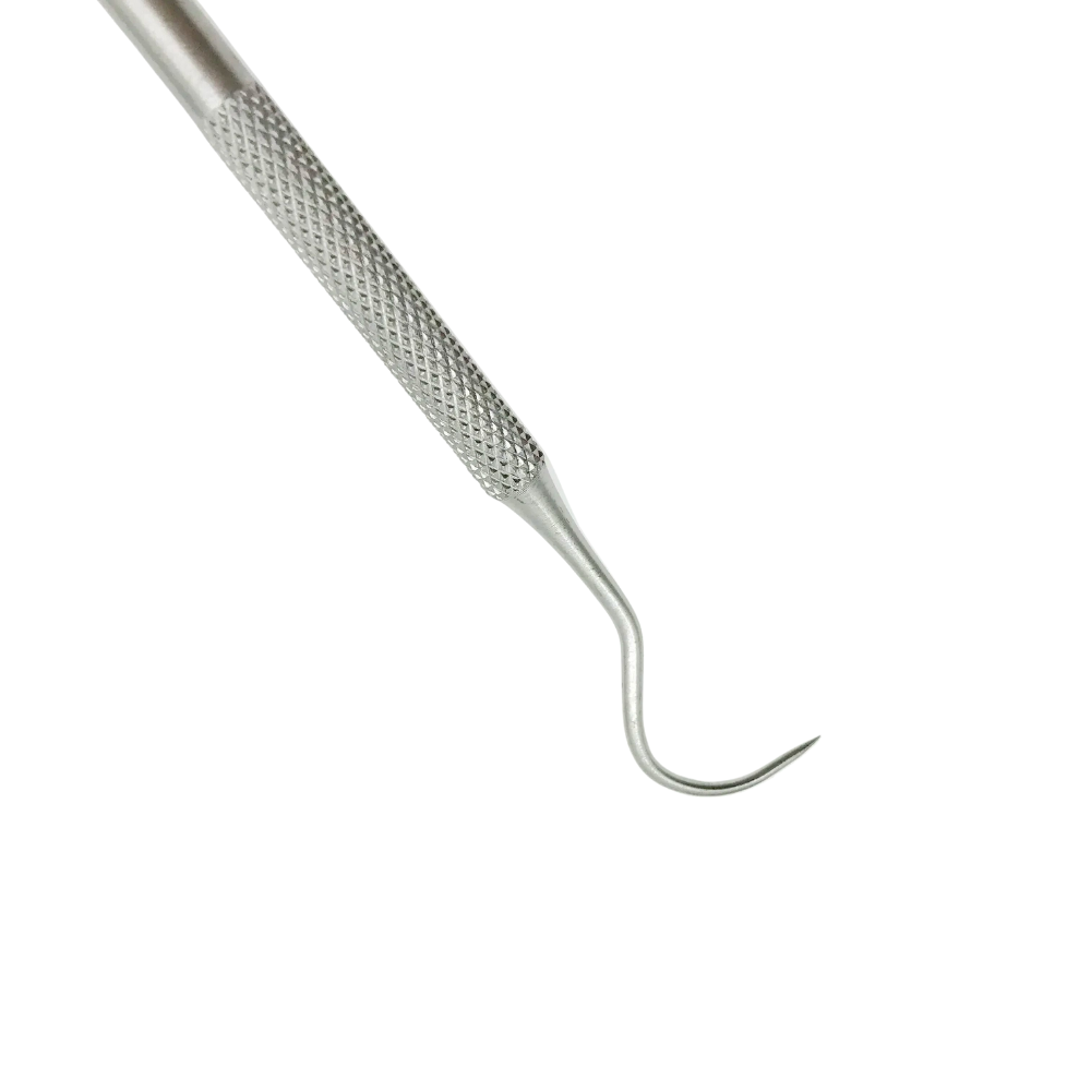 Stainless Steel Dental Tools Dental Oral Endoscope Probe Tooth Pick for Cavities Dental Stain & Plaque Remover Tartar Removal Tool Dental Cleaning Instrument Stainless Steel Dental Care Probe Dentist