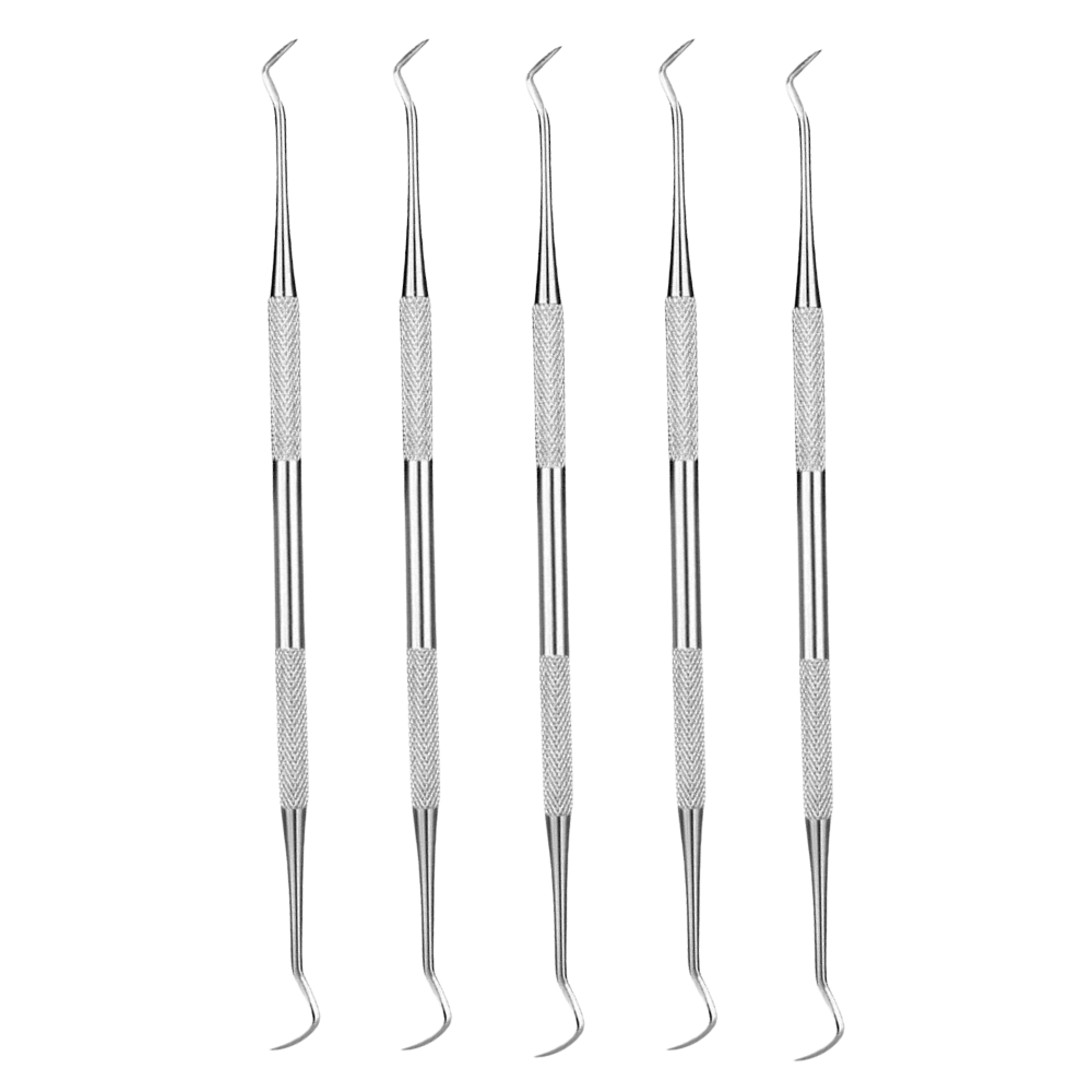 Stainless Steel Dental Tools Dental Oral Endoscope Probe Tooth Pick for Cavities Dental Stain & Plaque Remover Tartar Removal Tool Dental Cleaning Instrument Stainless Steel Dental Care Probe Dentist
