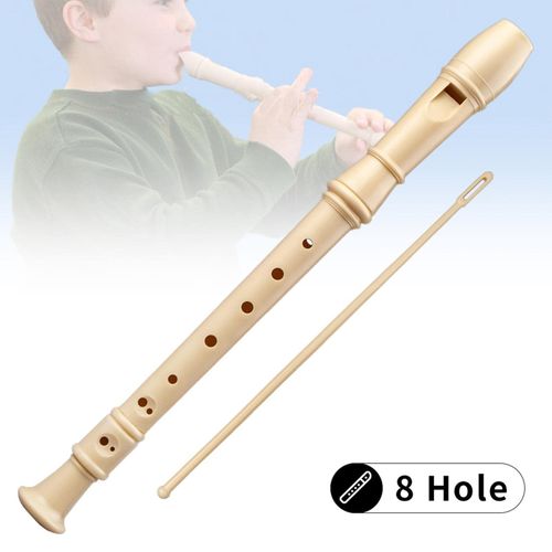 SOPRANO RECORDER INSTRUMENT DETACHABLE 8 HOLES ABS DESCANT RECORDER WITH CLEANING ROD FOR BEGINNERS